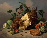 unknow artist, Still life with fruit